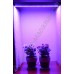 Искусственная подсветка для растений на базе светодиодов SMD 5630 «Мимоза», гарантийное обслуживание - 1 год