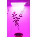 LED grow панель «Радуга» 48-720Вт для выращивания рассады, цветов, комнатных растений, гарантийное обслуживание - 1 год