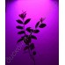LED grow панель «Радуга» 48-720Вт для выращивания рассады, цветов, комнатных растений, гарантийное обслуживание - 1 год