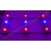 Бюджетный светодиодный красно-синий тепличный светильник «Антарес» 150-1500Вт, гарантийное обслуживание - 1 год