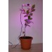 Подсветка для растений в горшке «Фейт», гарантийное обслуживание - 1 год