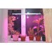 Оконная светодиодная лампа для растений "Васат" 30Вт, гарантийное обслуживание - 1 год